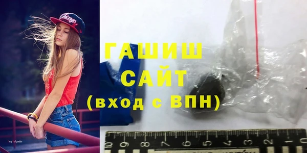 гашик Алексин
