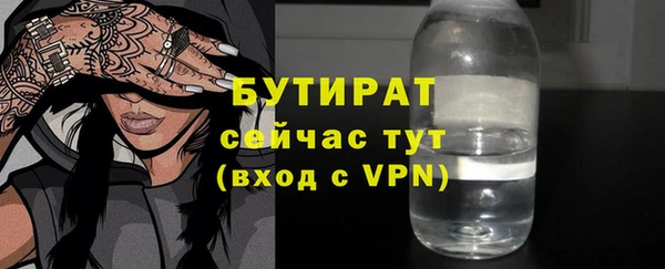 гашик Алексин