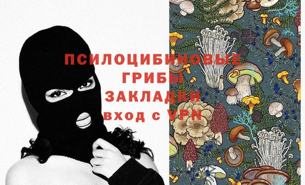 молекула духа Слюдянка