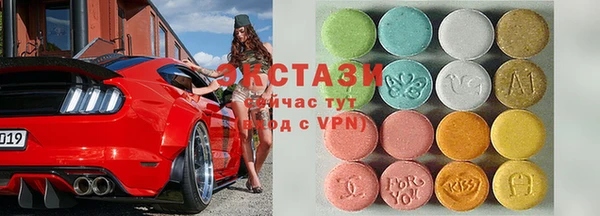 гашик Алексин