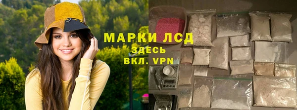 гашик Алексин