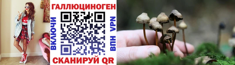 цена наркотик  Заволжье  Псилоцибиновые грибы мицелий 